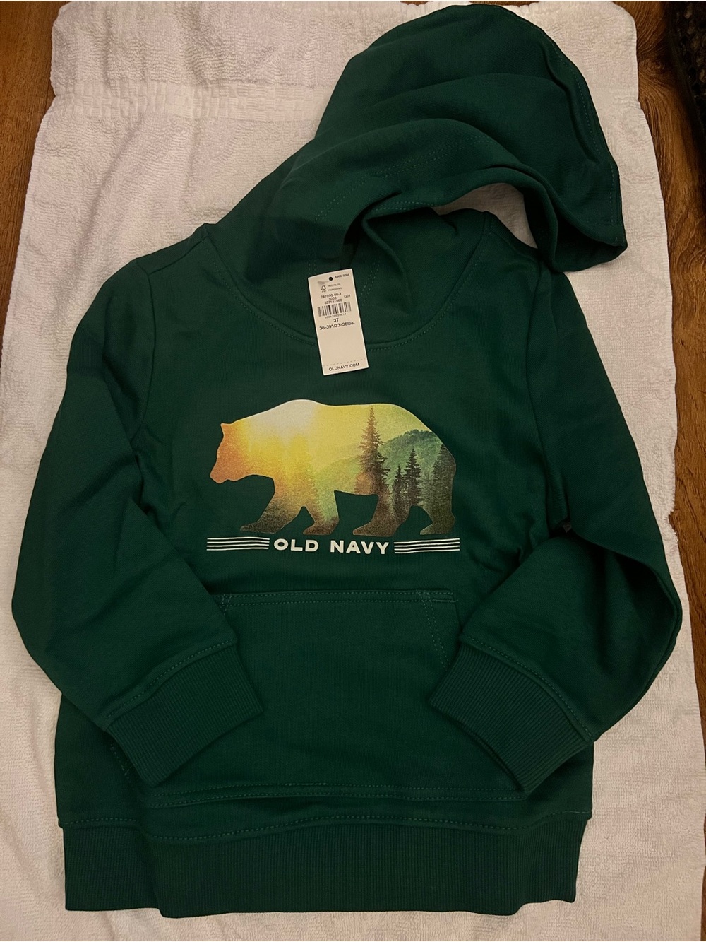 Old Navy Dark Green Hooded Sweatshirt with Gradient Bear Graphic